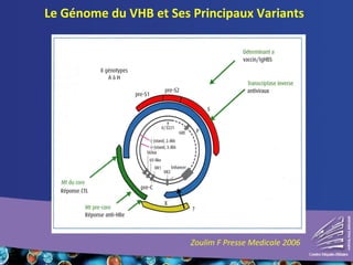 Le Génome du VHB et Ses Principaux Variants 
Zoulim F Presse Medicale 2006 
 