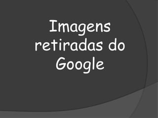 Imagens
retiradas do
Google

 