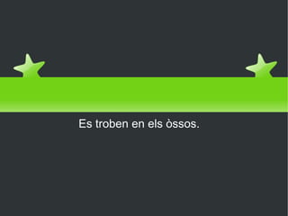 Òssies Es troben en els òssos. 