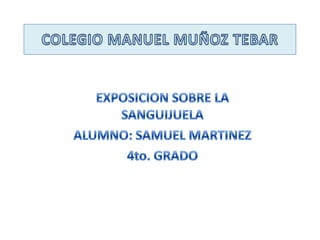 COLEGIO MANUEL MUÑOZ TEBAR EXPOSICION SOBRE LA SANGUIJUELA ALUMNO: SAMUEL MARTINEZ 4to. GRADO 