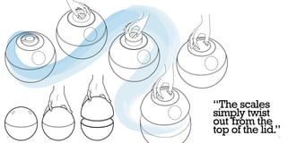 “The scales
     simply twist
     out from the
38
     top of the lid.”
                    39
 