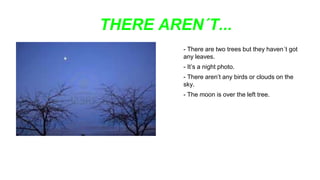 THERE AREN´T...
- There are two trees but they haven´t got
any leaves.
- It’s a night photo.
- There aren’t any birds or clouds on the
sky.
- The moon is over the left tree.
 