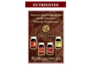 NUTRIENTES
 