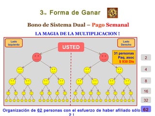Bono de Sistema Dual – Pago Semanal
LA MAGIA DE LA MULTIPLICACION !
3ra Forma de Ganar
USTED
Lado
Izquierdo
Lado
Derecho
2
4
8
16
62Organización de 62 personas con el esfuerzo de haber afiliado sólo
31 personas
Paq. asoc
$ 930 Dls
32
 