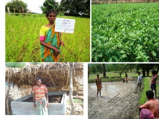 Samuha vikash malkangiri