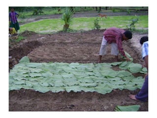 Samuha vikash malkangiri