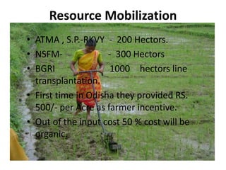 Resource Mobilization
• ATMA , S.P.-RKVY - 200 Hectors.
• NSFM- - 300 Hectors
• BGRI 1000 hectors line
transplantation.
• First time in Odisha they provided RS.
500/- per Acre as farmer incentive.
• Out of the input cost 50 % cost will be
organic.
 