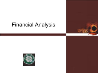 Financial Analysis 