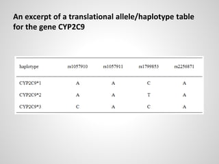 An excerpt of a translational allele/haplotype table
for the gene CYP2C9
 