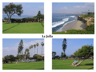 La Jolla 