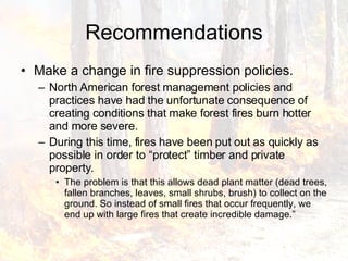 Recommendations Make a change in fire suppression policies. North American forest management policies and practices have had the unfortunate consequence of creating conditions that make forest fires burn hotter and more severe.  During this time, fires have been put out as quickly as possible in order to “protect” timber and private property.  The problem is that this allows dead plant matter (dead trees, fallen branches, leaves, small shrubs, brush) to collect on the ground. So instead of small fires that occur frequently, we end up with large fires that create incredible damage.”  