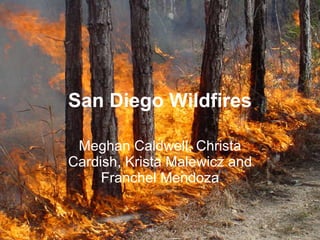 San Diego Wildfires Meghan Caldwell, Christa Cardish, Krista Malewicz and Franchel Mendoza 