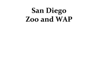 San Diego Zoo and WAP 
