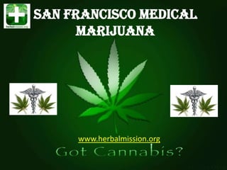 SAN FRANCISCO MEDICAL
      MARIJUANA




     www.herbalmission.org
 