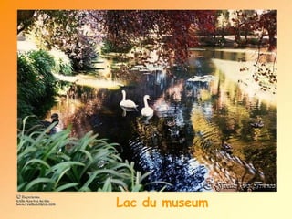 Lac du museum