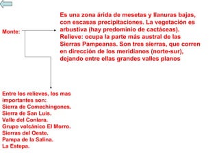Es una zona árida de mesetas y llanuras bajas, con escasas precipitaciones. La vegetación es arbustiva (hay predominio de cactáceas). Relieve: ocupa la parte más austral de las Sierras Pampeanas. Son tres sierras, que corren en dirección de los meridianos (norte-sur), dejando entre ellas grandes valles planos  Monte: Entre los relieves, los mas importantes son: Sierra de Comechingones. Sierra de San Luis. Valle del Conlara. Grupo volcánico El Morro. Sierras del Oeste. Pampa de la Salina. La Estepa. 