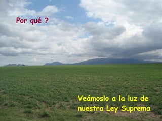 Por qué ? Veámoslo a la luz de nuestra Ley Suprema 
