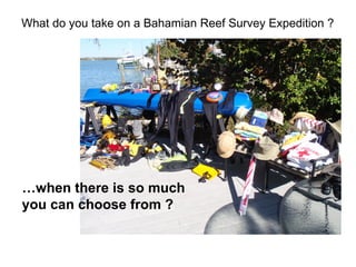 What do you take on a Bahamian Reef Survey Expedition ?  … when there is so much  you can choose from ? 