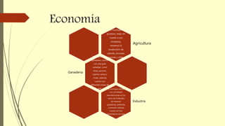 Economía
El municipio
produce, maíz; en
cuanto a sus
hortalizas,
tenemos la
producción de
cebolla, jitomate,
tomate y chile.
Agricultura
En relación a su
ganadería, cuenta
con una gran
variedad, como
lanar, porcino,
caprino, asnal y
mular; además
cuenta con
diferentes clases de
ave.
Ganadería
El municipio cuenta
con actividades
manufactureras, en los
ramos de moliendas
de nixtamal,
panaderías, peleterías
y herrerías; además
cuenta con tres
maquiladoras de ropa.
Industria
 