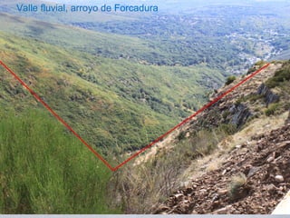 Valle fluvial, arroyo de Forcadura
 
