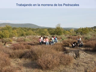 Trabajando en la morrena de los Pedrazales
 