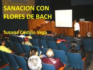 SANACION CON
FLORES DE BACH

Susana Castillo Vega
 
