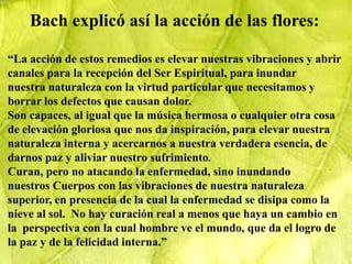 Bach explicó así la acción de las flores:

“La acción de estos remedios es elevar nuestras vibraciones y abrir
canales para la recepción del Ser Espiritual, para inundar
nuestra naturaleza con la virtud particular que necesitamos y
borrar los defectos que causan dolor.
Son capaces, al igual que la música hermosa o cualquier otra cosa
de elevación gloriosa que nos da inspiración, para elevar nuestra
naturaleza interna y acercarnos a nuestra verdadera esencia, de
darnos paz y aliviar nuestro sufrimiento.
Curan, pero no atacando la enfermedad, sino inundando
nuestros Cuerpos con las vibraciones de nuestra naturaleza
superior, en presencia de la cual la enfermedad se disipa como la
nieve al sol. No hay curación real a menos que haya un cambio en
la perspectiva con la cual hombre ve el mundo, que da el logro de
la paz y de la felicidad interna.”
 