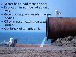  Water has a bad taste or odor
 Reduction in number of aquatic
lives
 Growth of aquatic weeds in water
bodies
 Oil or grease floating on water
surface
 Out break of an epidemic
 