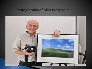 Photographer of Bliss Wallpaper
 