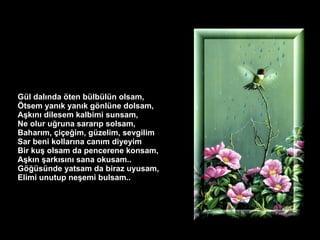 Gül dalında öten bülbülün olsam,  Ötsem yanık yanık gönlüne dolsam, Aşkını dilesem kalbimi sunsam,  Ne olur uğruna sararıp solsam,  Baharım, çiçeğim, güzelim, sevgilim  Sar beni kollarına canım diyeyim  Bir kuş olsam da pencerene konsam,  Aşkın şarkısını sana okusam..  Göğüsünde yatsam da biraz uyusam,  Elimi unutup neşemi bulsam.. 