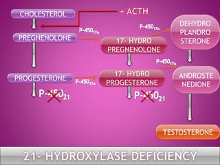 CHOLESTEROL
PREGNENOLONE
PROGESTERONE
17- HYDRO
PREGNENOLONE
DEHYDRO
PLANDRO
STERONE
17- HYDRO
PROGESTERONE
ANDROSTE
NEDIONE
TESTOSTERONE
 