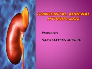 Presenter:
SANA MATEEN MUNSHI
 