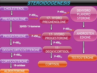 STEROIDOGENESIS
CHOLESTEROL
PREGNENOLONE
PROGESTERONE
DEOXYCORTICOSTTERONE
CORTICOSTERONE
ALDOSTERONE
17- HYDRO
PREGNENOLONE
17- HYDRO
PROGESTERONE
11-
DEOXYCORTISOL
CORTISOL
DEHYDRO
PLANDRO
STERONE
ANDROSTEN
EDIONE
TESTOSTERONE
 