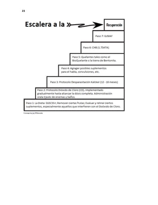 Sanando el Autismo Por Kerry Rivera-1.pdf