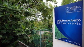 JARDIN BOTANICO
 