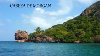 CABEZA DE MORGAN
 
