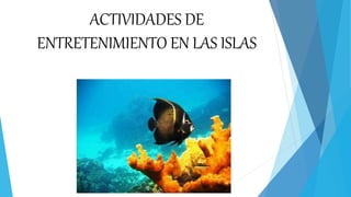 ACTIVIDADES DE
ENTRETENIMIENTO EN LAS ISLAS
 