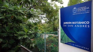 San Andrés 