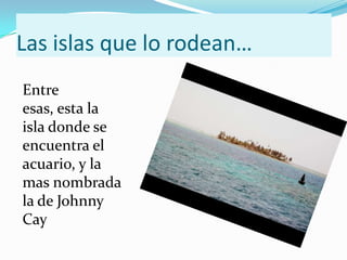 Las islas que lo rodean…
Entre
esas, esta la
isla donde se
encuentra el
acuario, y la
mas nombrada
la de Johnny
Cay
 