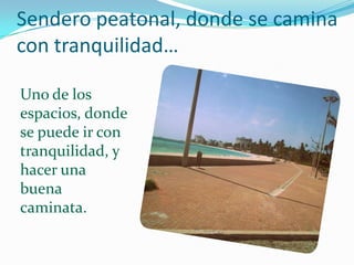 Sendero peatonal, donde se camina
con tranquilidad…

Uno de los
espacios, donde
se puede ir con
tranquilidad, y
hacer una
buena
caminata.
 