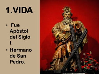 1.VIDA
• Fue
  Apóstol
  del Siglo
  I.
• Hermano
  de San
  Pedro.
 