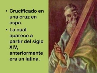 • Crucificado en
  una cruz en
  aspa.
• La cual
  aparece a
  partir del siglo
  XIV,
  anteriormente
  era un latina.
 