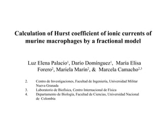 Calculation of Hurst coefficient of ionic currents of murine macrophages by a fractional model ,[object Object],[object Object],[object Object],[object Object]