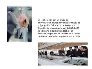 En colaboración con un grupo de
ambientalistas locales, el Comité Ecológico de
la Agrupación Cultural de Las Cruces y la
Dirección de Infraestructura de la PUC, ECIM
co-patrocinó el Parque Ecopoético, un
pequeño parque natural ubicado en el sector
costero de Las Cruces, adyacente a la estación.
 