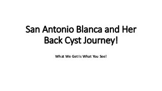 San Antonio Blanca and Her
Back Cyst Journey!
What We Get Is What You See!
 