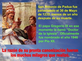 San Antonio de Padua fue canonizado el 30 de Mayo de 1232, menos de un año después de su muerte. El papa Gregorio IX en ese momento le llamó “Doctor de la Iglesia”. Oficialmente fue nombrado el año 1946 por Pio XII. La razón de su pronta canonización fueron los muchos milagros que realizó. 