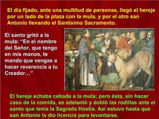 El día fijado, ante una multitud de personas, llegó el hereje por un lado de la plaza con la mula, y por el otro san Antonio llevando el Santísimo Sacramento. El santo gritó a la mula: “En el nombre del Señor, que tengo en mis manos, te mando que vengas a hacer reverencia a tu Creador…” El hereje echaba cebada a la mula; pero ésta, sin hacer caso de la comida, se adelantó y dobló las rodillas ante el santo que tenía la Sagrada Hostia. Así estuvo hasta que san Antonio la dio licencia para levantarse. 