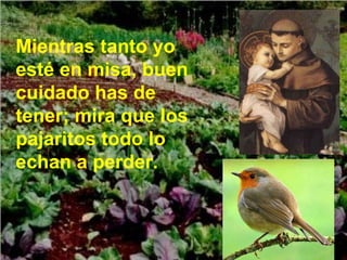 Mientras tanto yo esté en misa, buen cuidado has de tener; mira que los pajaritos todo lo echan a perder. 