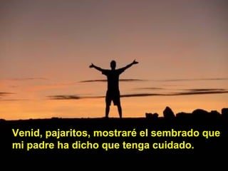 Venid, pajaritos, mostraré el sembrado que mi padre ha dicho que tenga cuidado. 