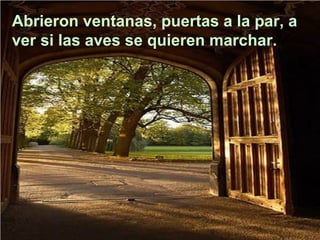 Abrieron ventanas, puertas a la par, a ver si las aves se quieren marchar. 